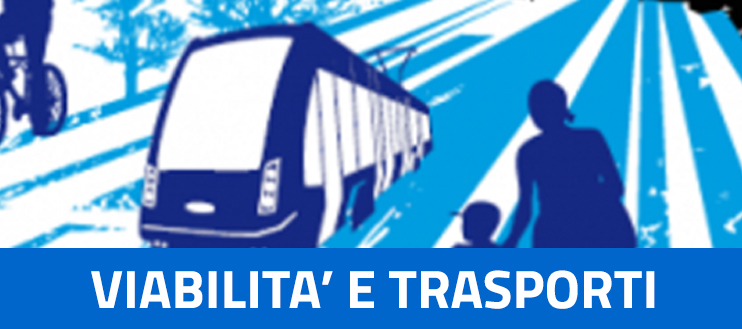 PROGETTO VIABILITA'